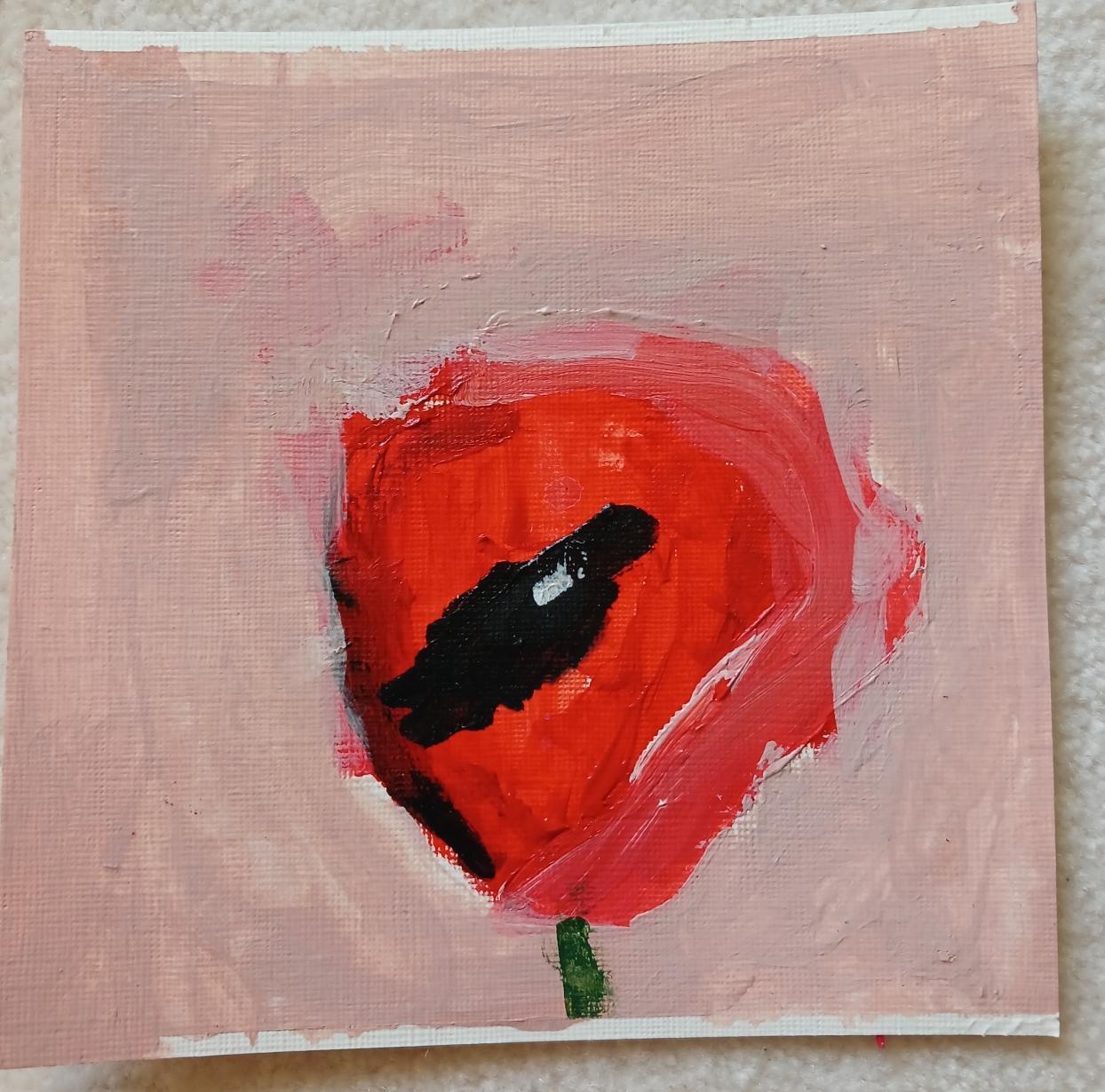 The poppy in the garden