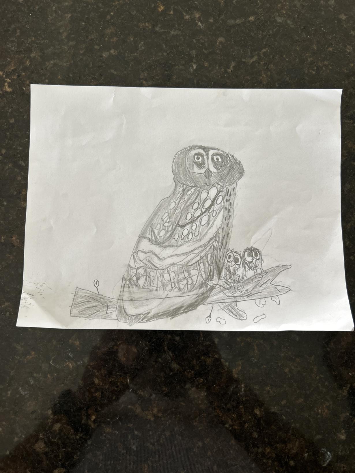 Owl