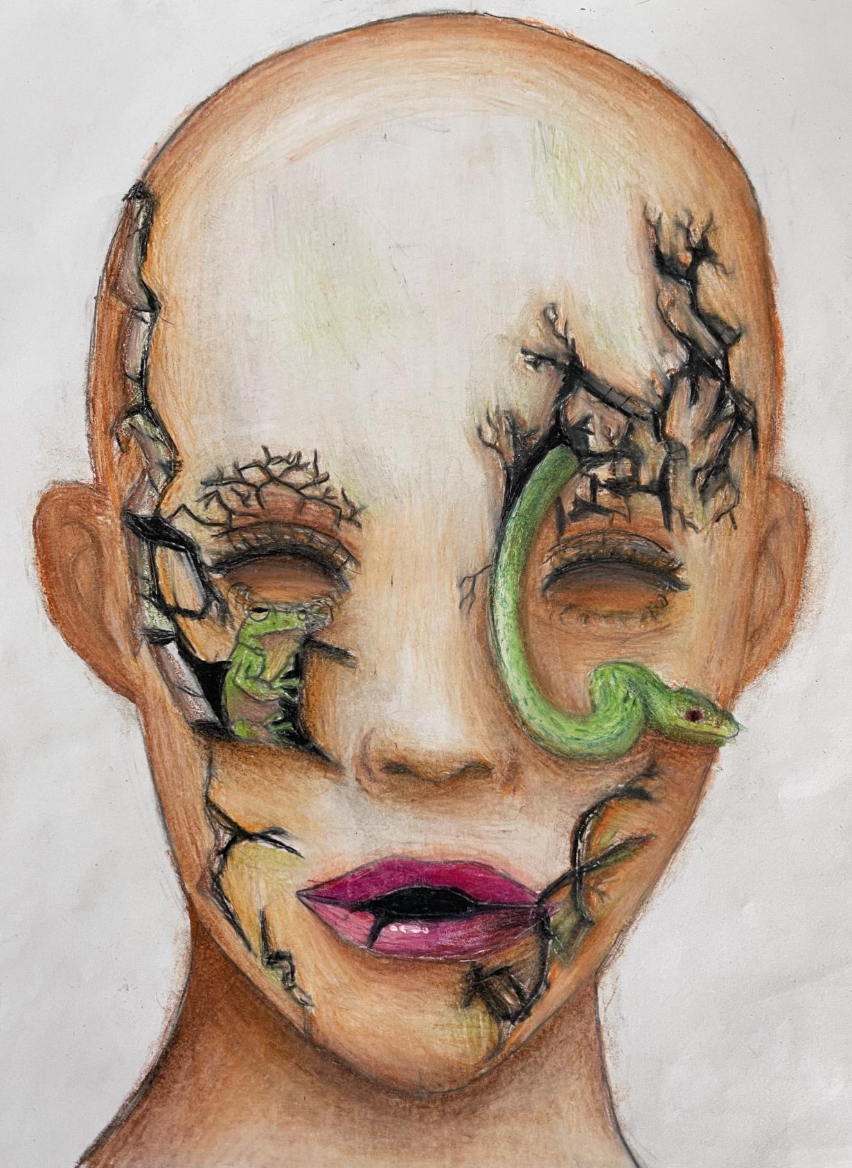 Inner Cracks: Unveiling the Human Duality