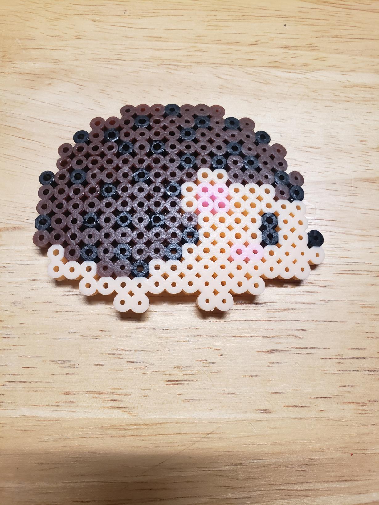 The Cute Little Hedgehog