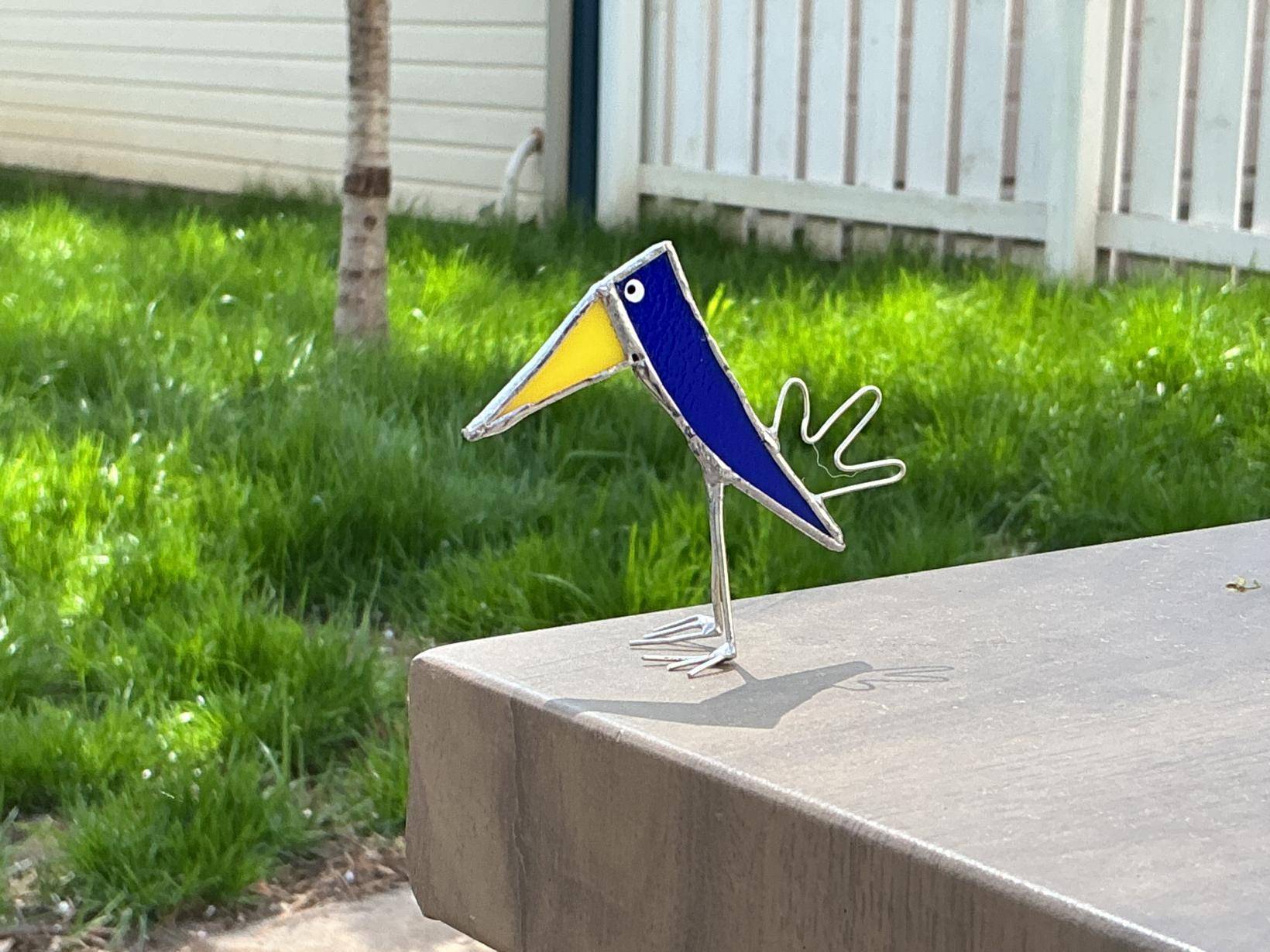 Blue and yellow silly bird