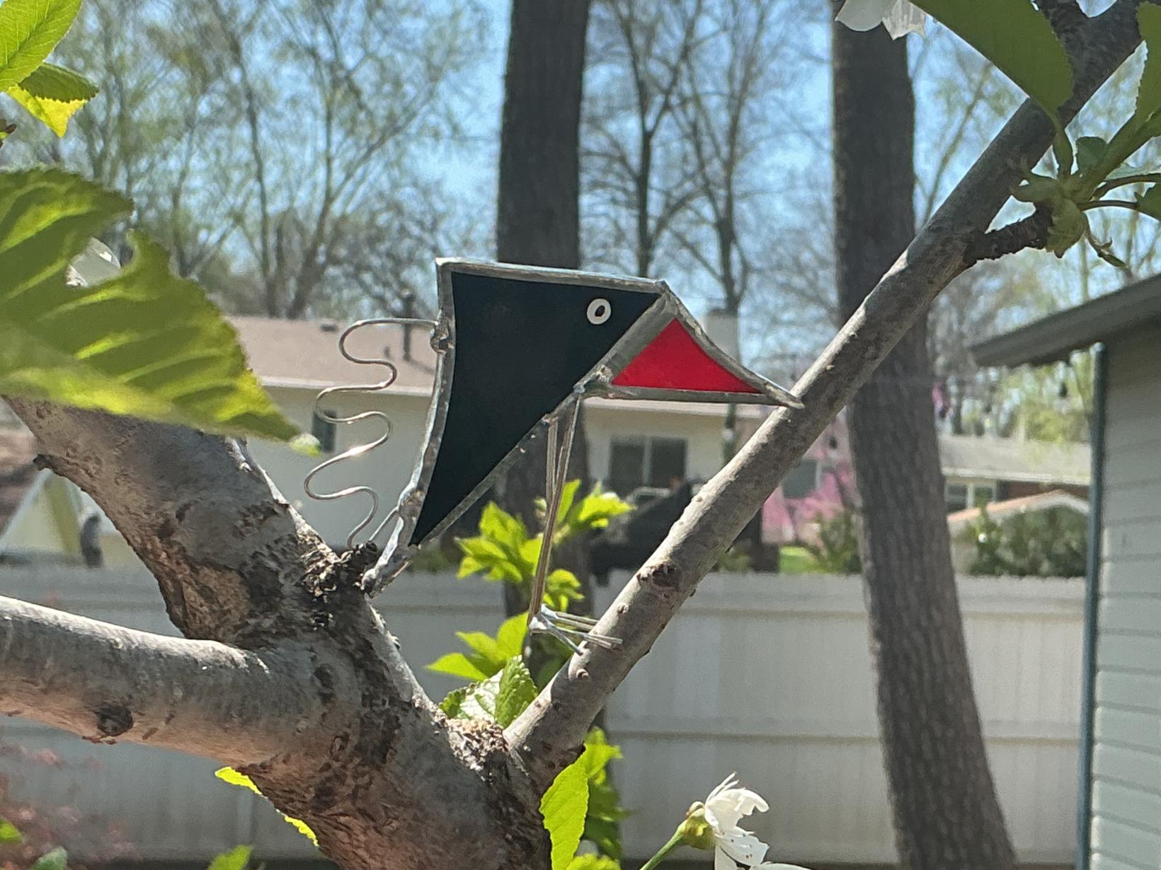 Black and red silly bird