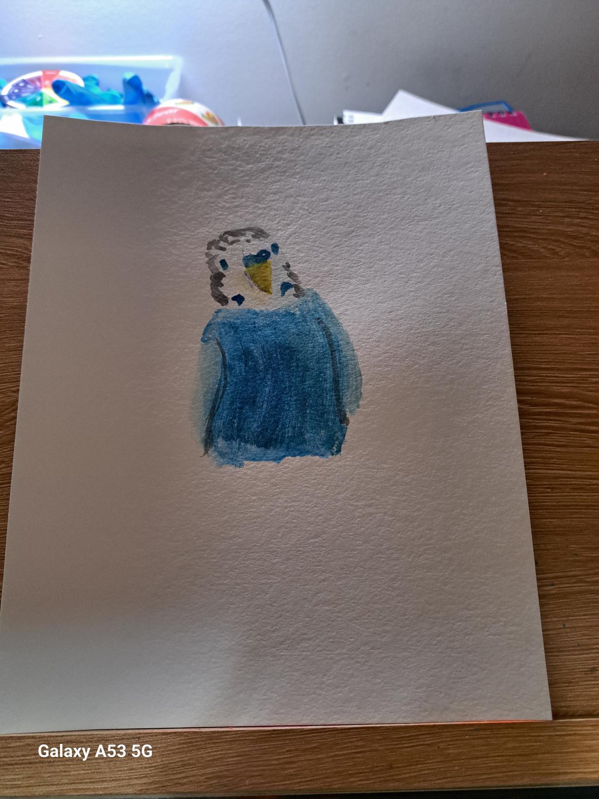 Budgie bird