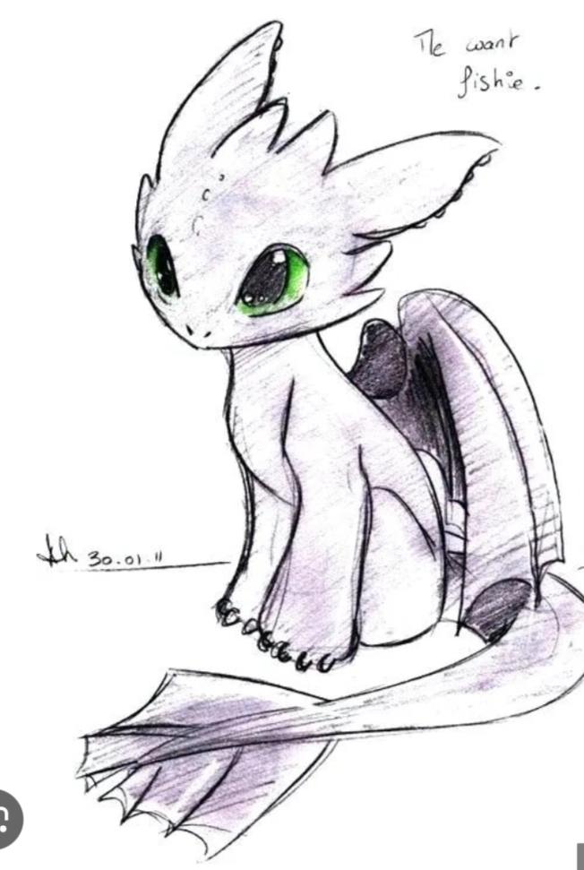 How to train my dragon 