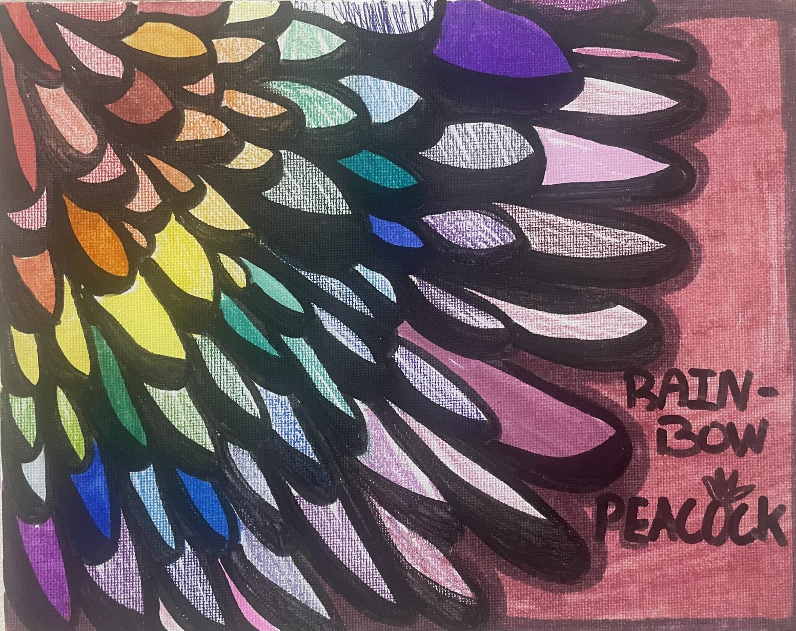 Rainbow feathers 