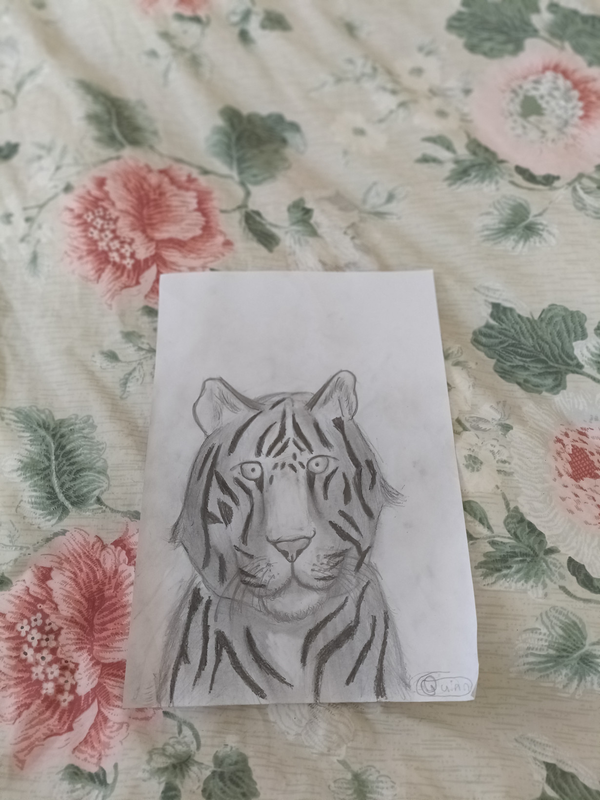 Tiger sketch