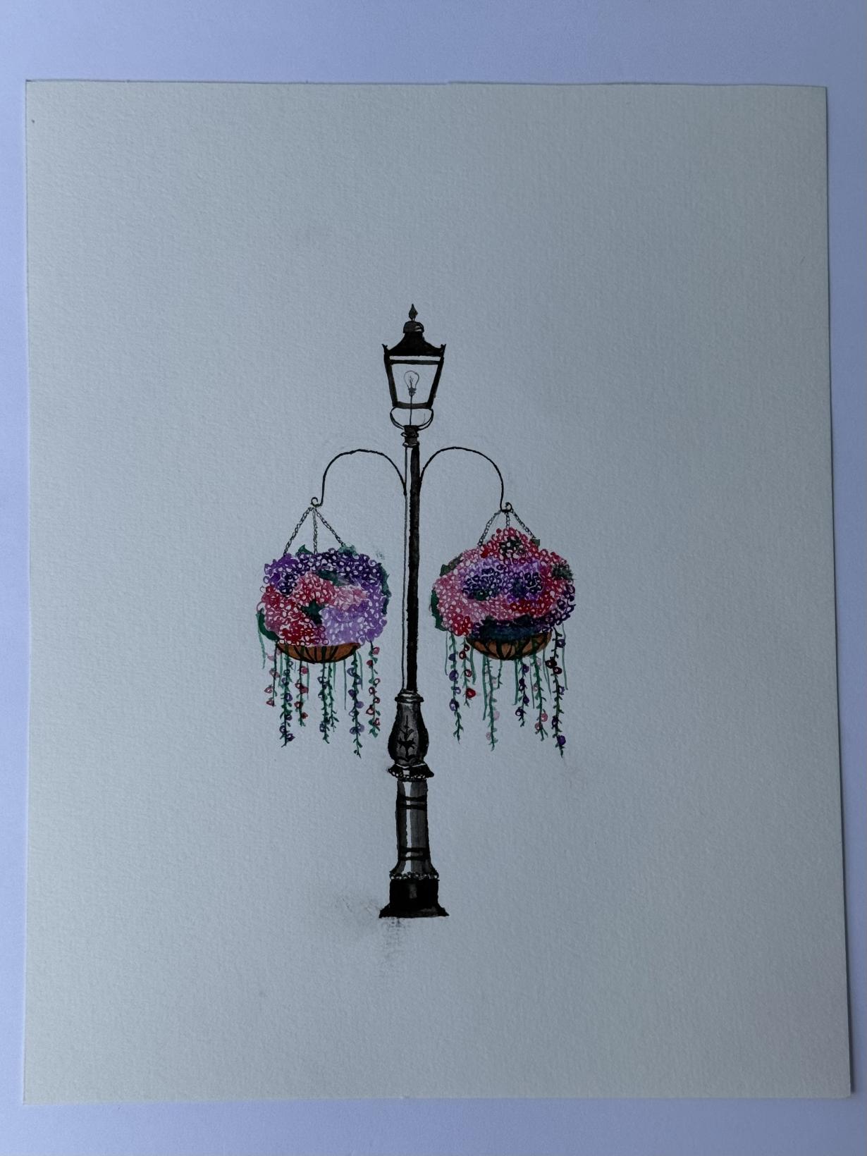 hanging baskets - SOLD