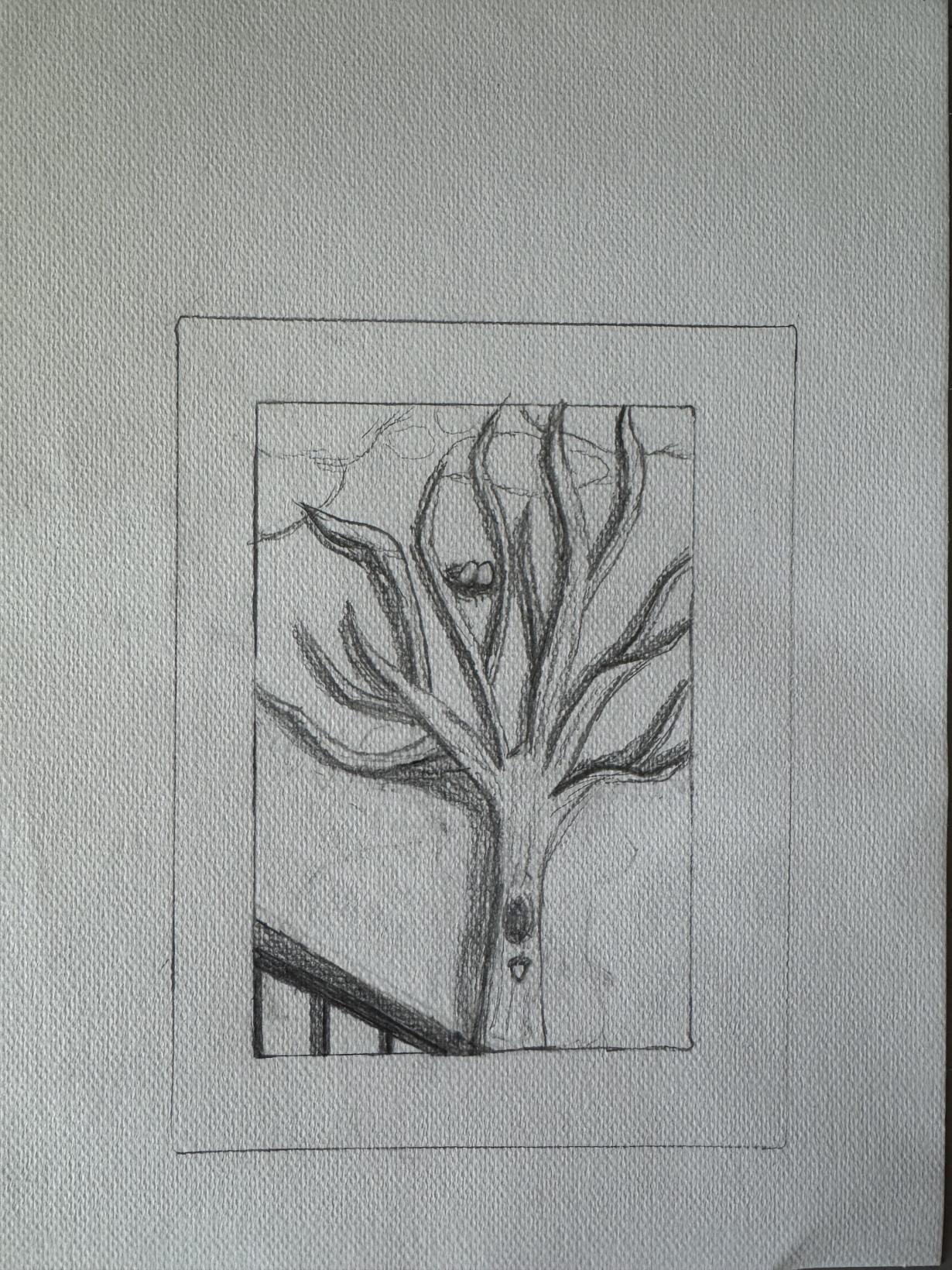 Winter Tree with Nest