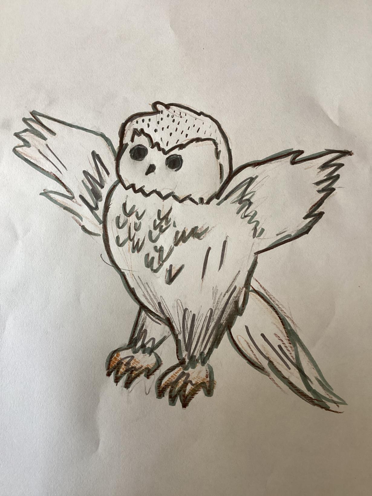 Hedwig 