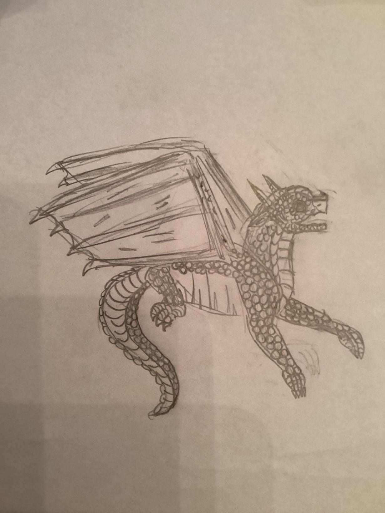 Griffon the Dragonet