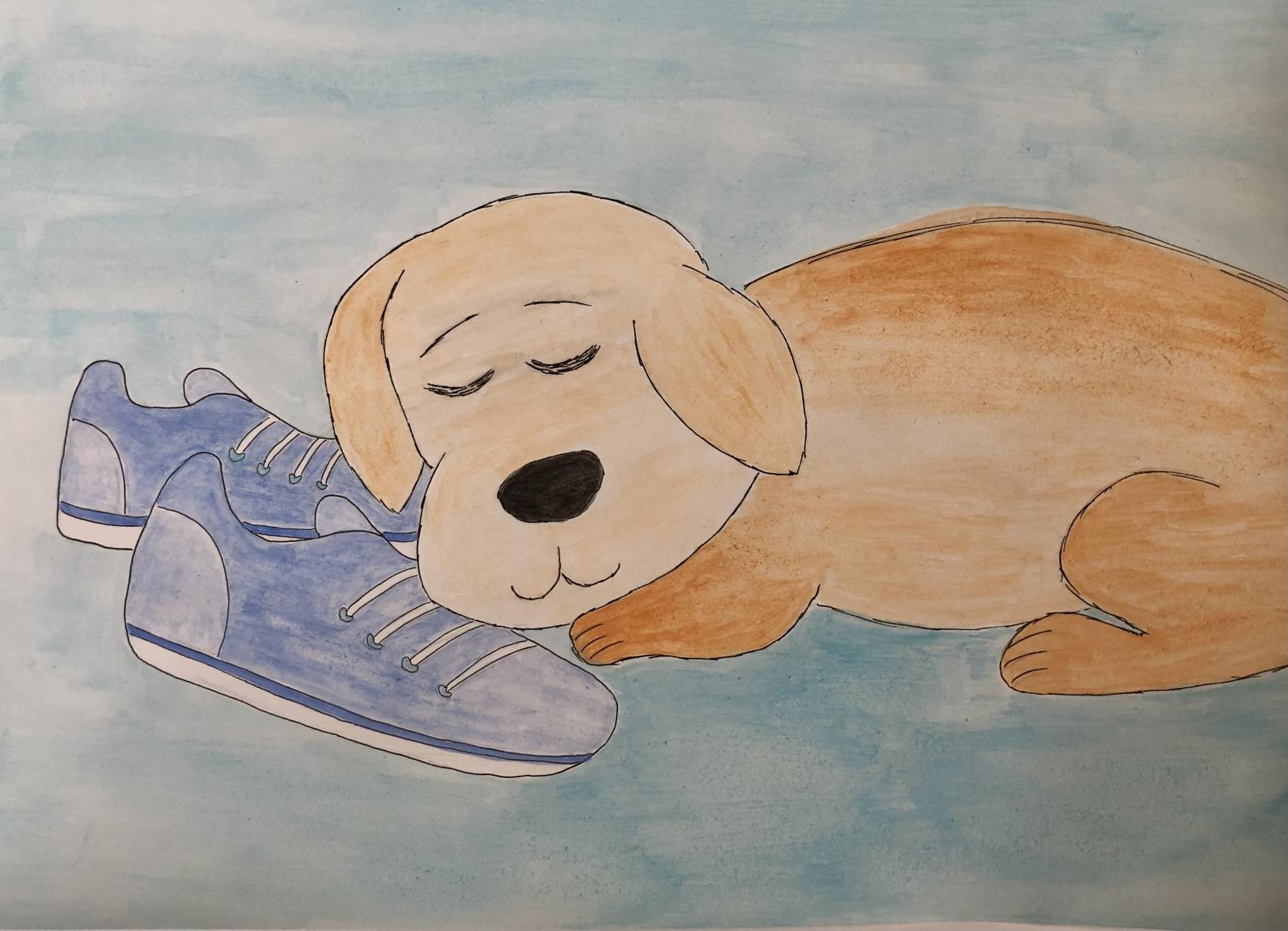 My Puppy and My Shoes