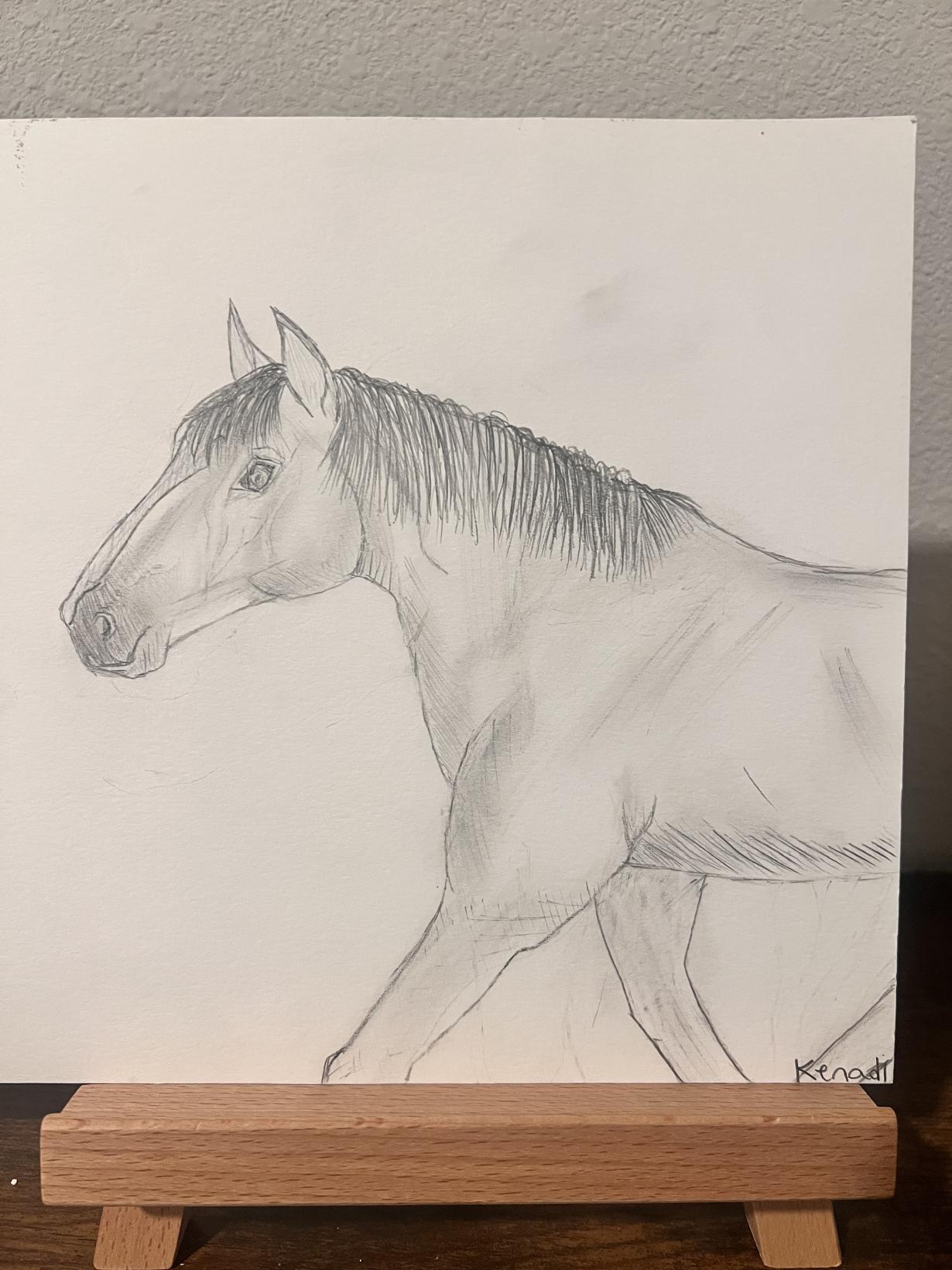Horse