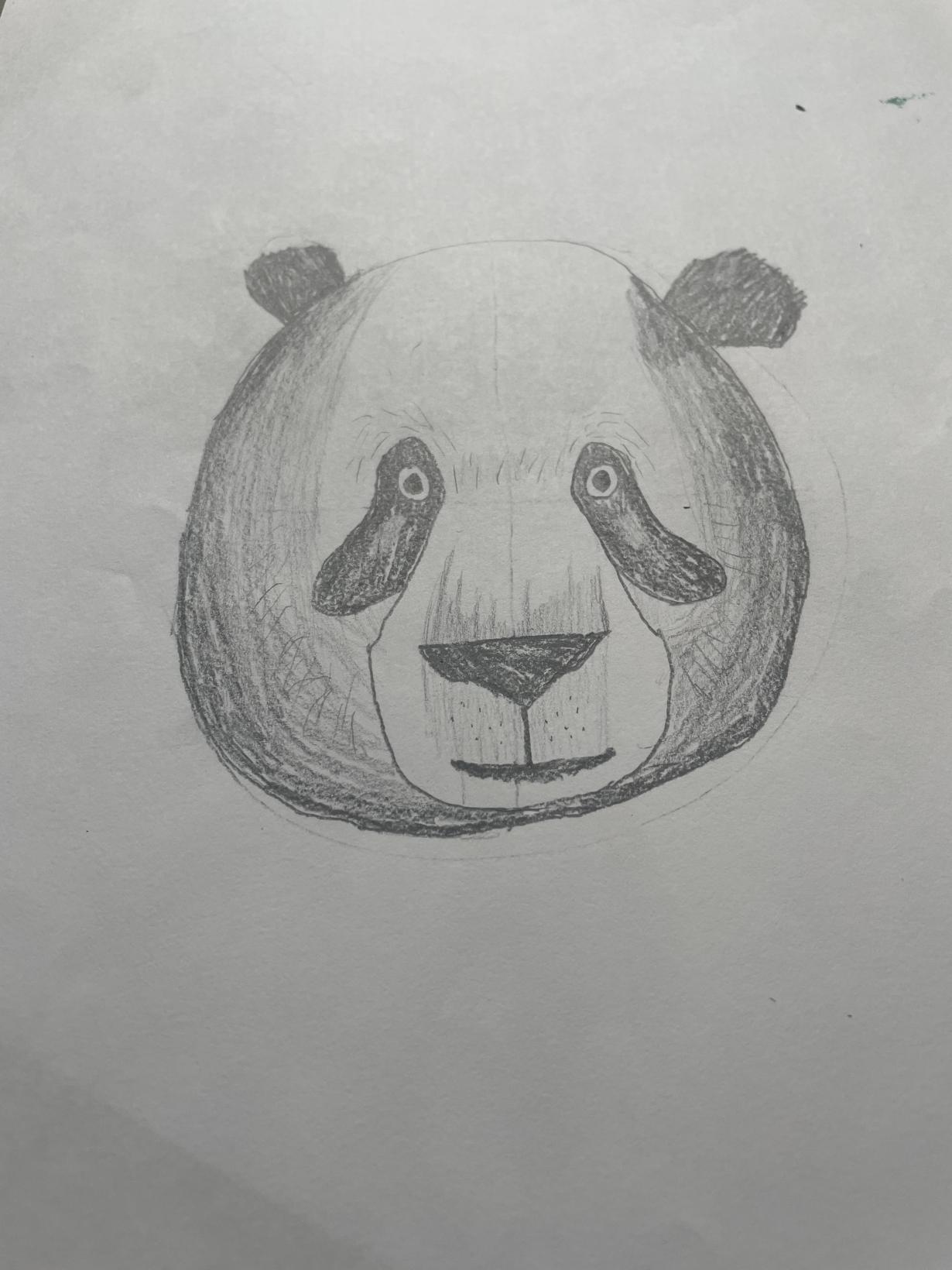 Panda pandy panda