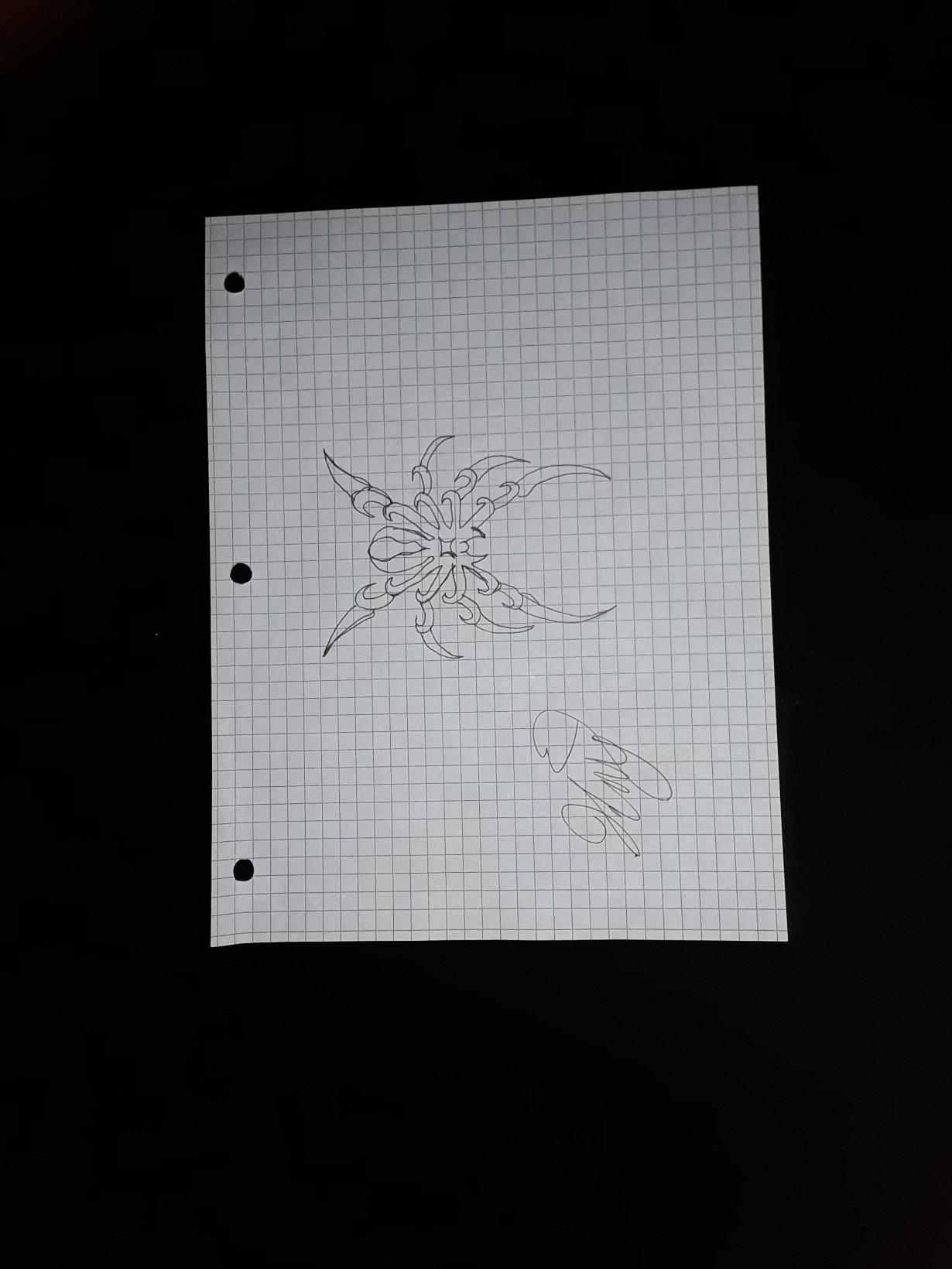 Lonesome Black Widow