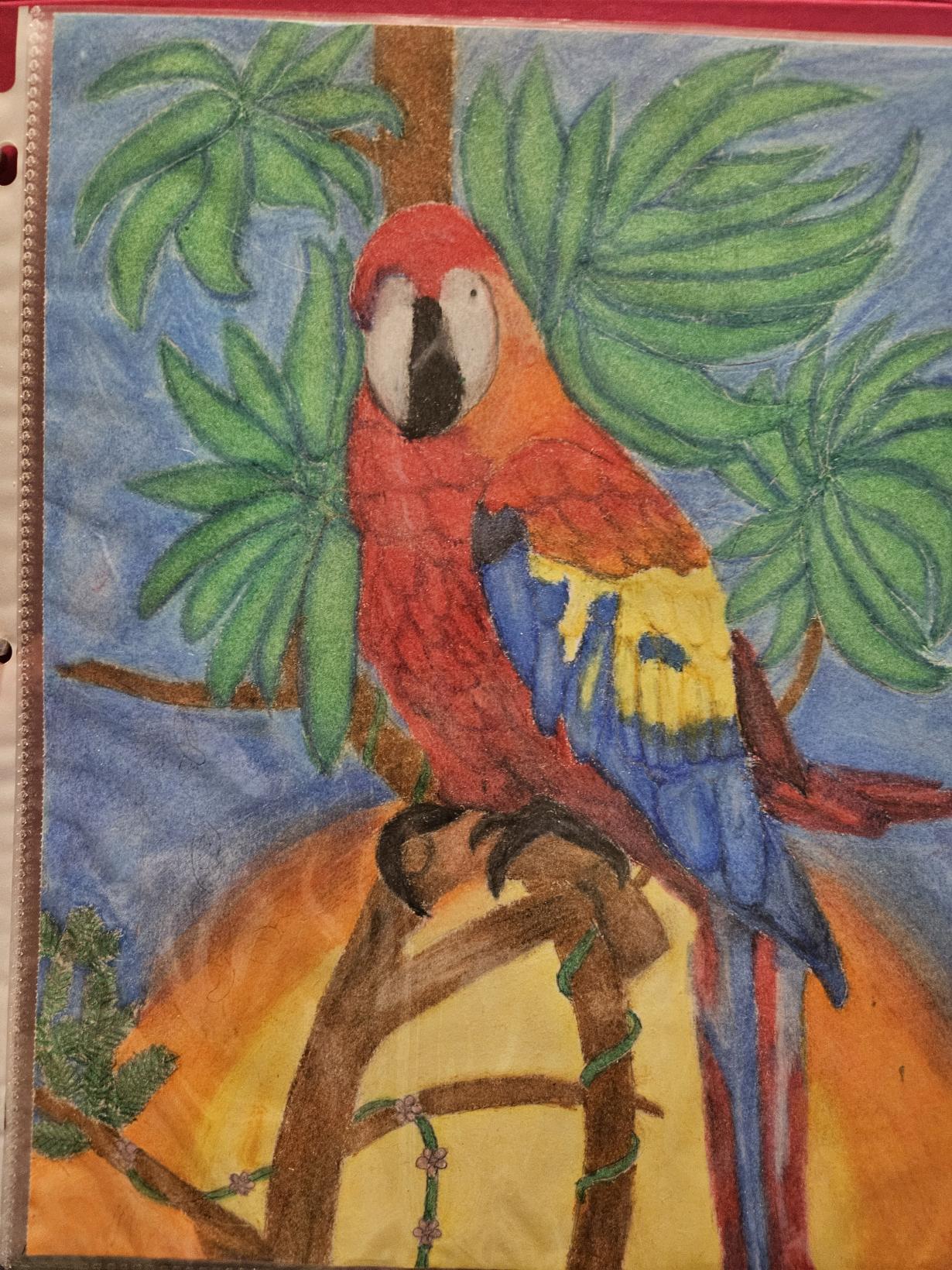 Colorful Parrot