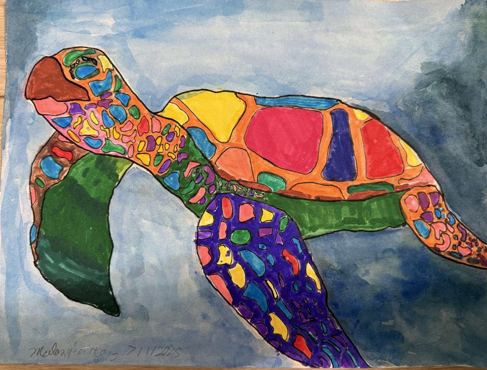 The Rainbow Sea Turtle