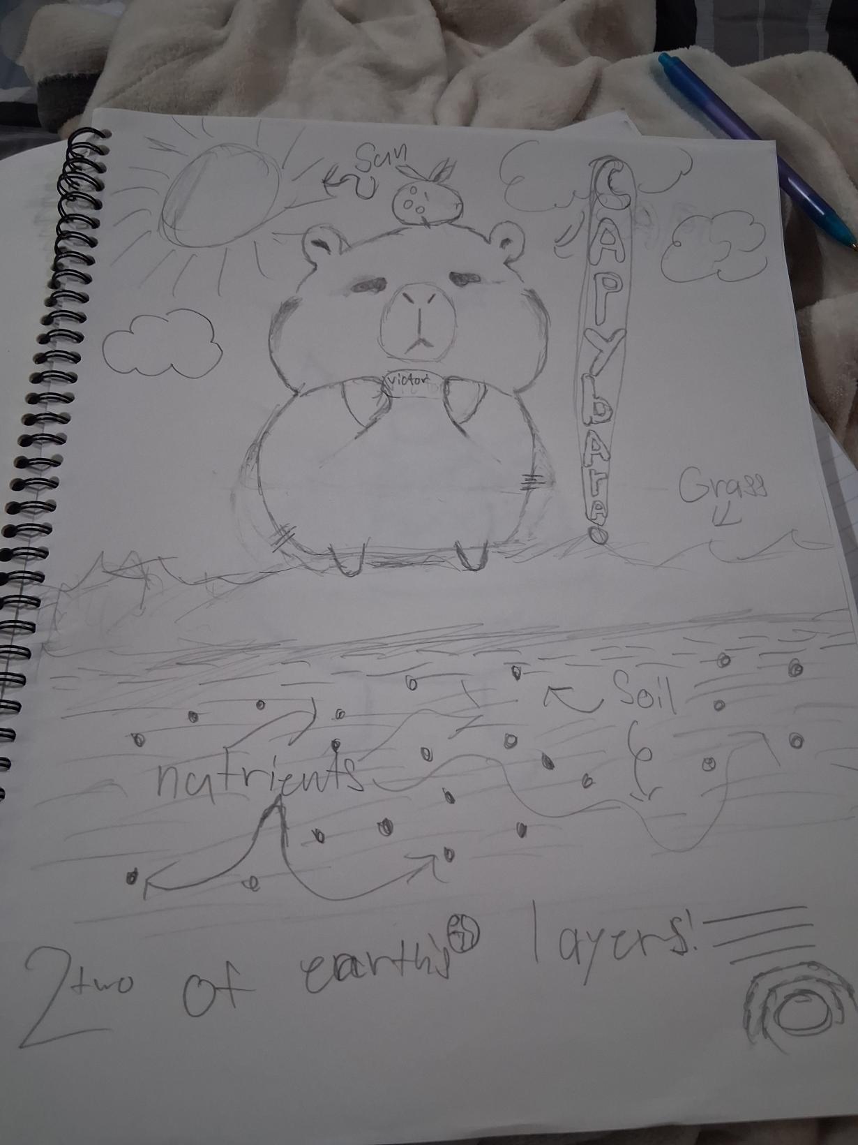 Capybara Learning Session 