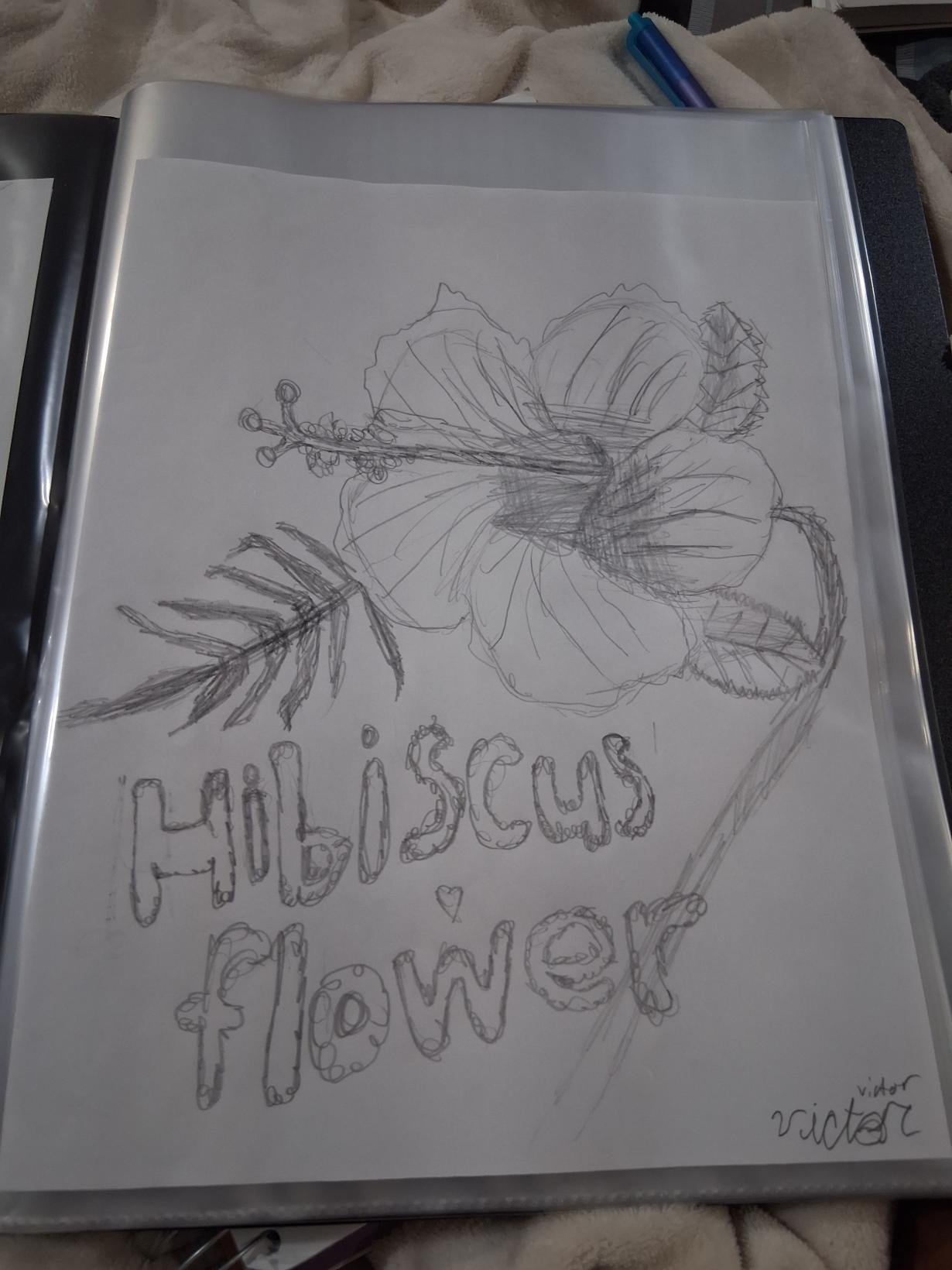 Hibiscus Flower