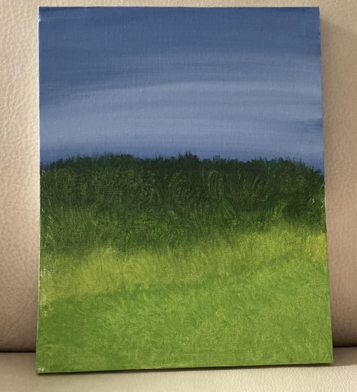 Grassy Fields