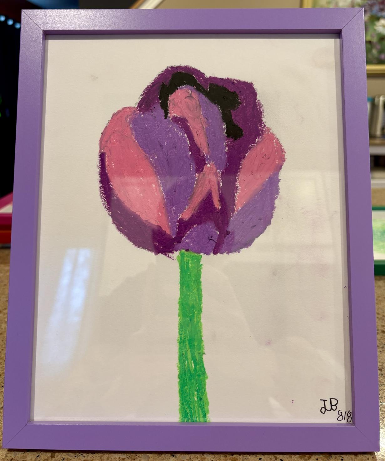 Black Hero Tulip - Flower