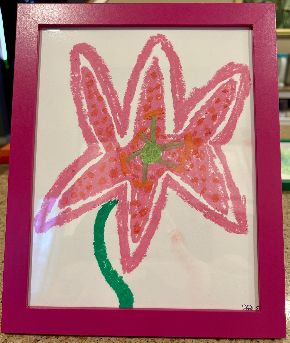 Pink Oriental Lily - Flower