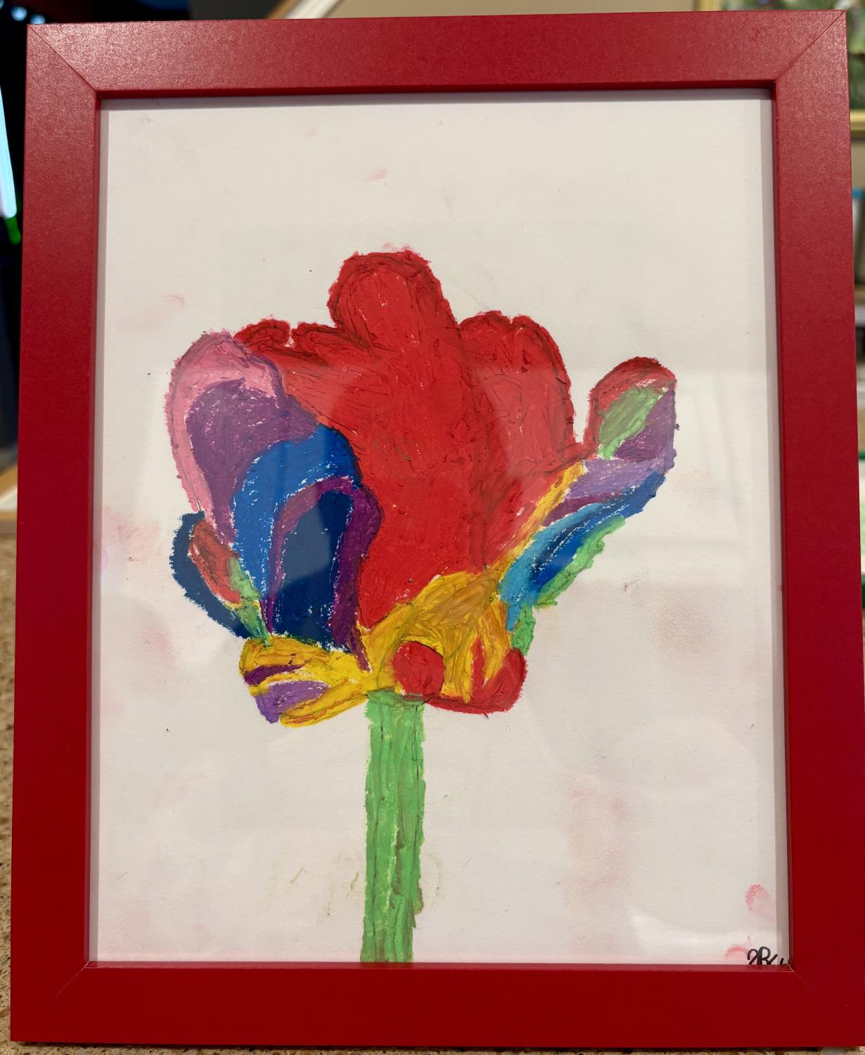 Parrot Tulip - Flower