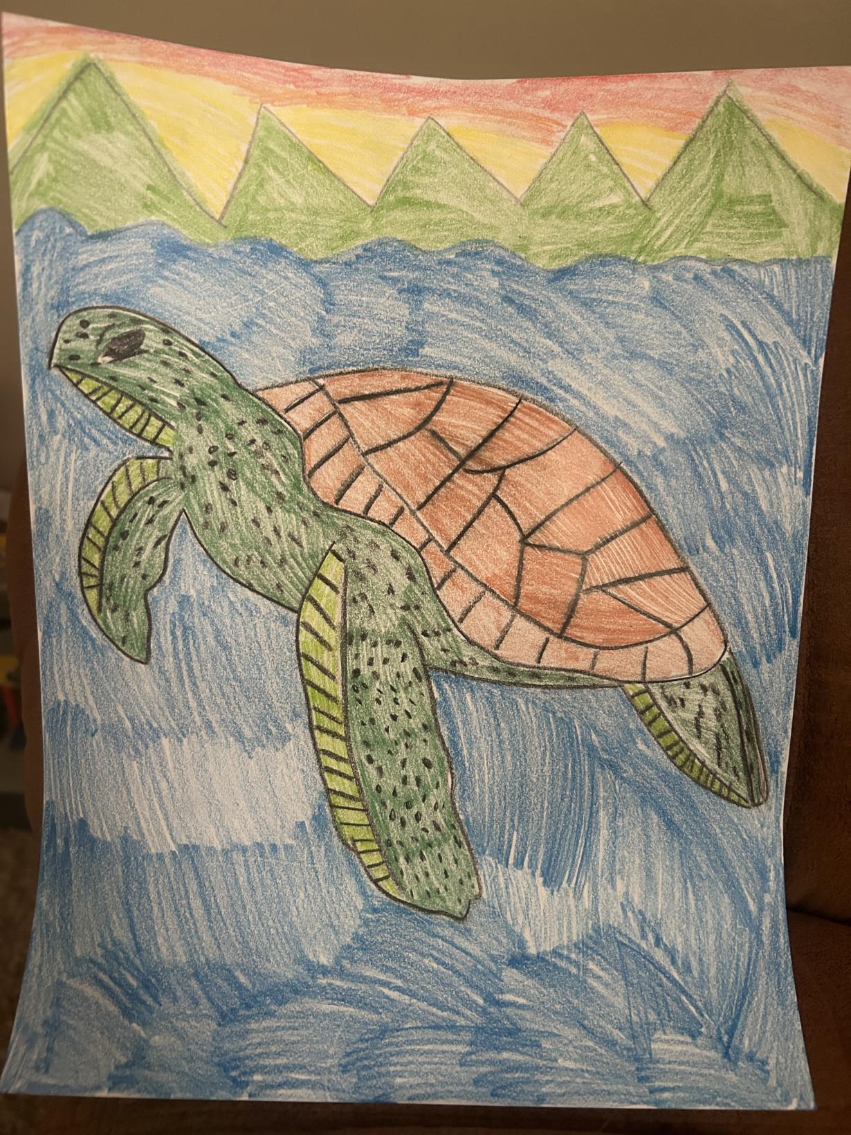 Sea turtle 